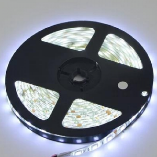 5050-60LED CINTA LED 5050. LUZ BLANCA